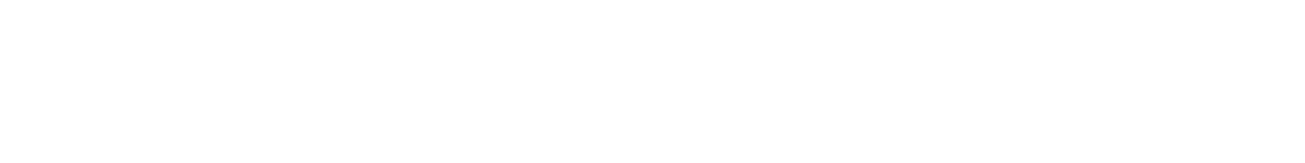 YCL ELektronik  